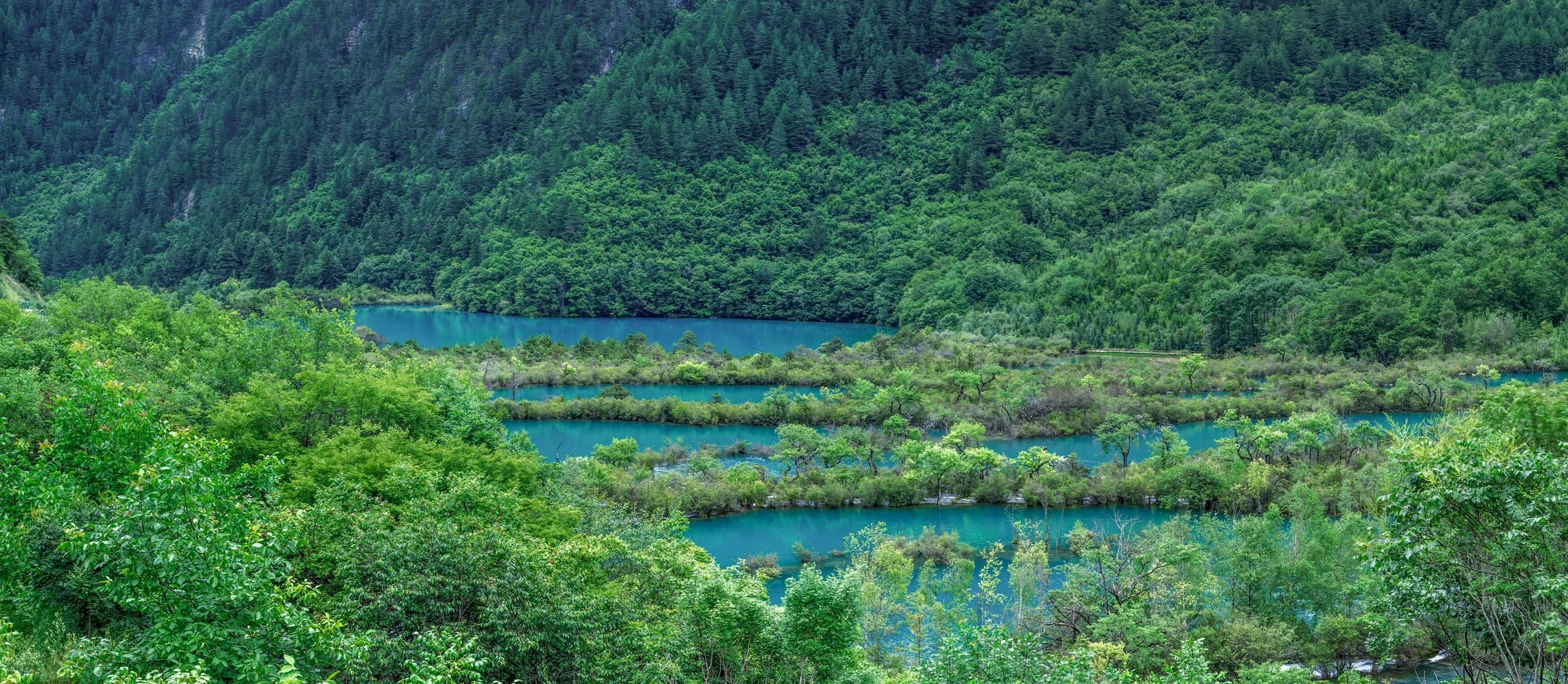 Turquoise lakes surrounded by lush greenery in Jiuzhaigou.